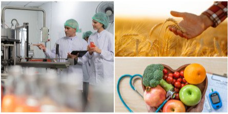 Une étude menée par un chercheur d'AURAK démontre comment l'utilisation de l'Internet des objets (IoT) et de la blockchain peut considérablement améliorer la sécurité alimentaire.